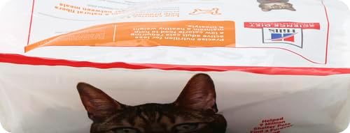 Hill's Science Diet Light, Adult 1-6, Weight Management Support, Dry Cat Food, Chicken Recipe, 16 lb Bag