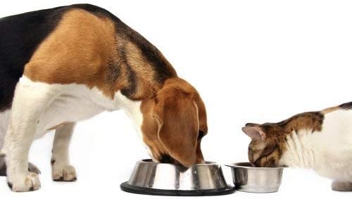 Organic Plant-Based Supplement for Skin, Coat, Digestive & Immune Health in Dogs (12 oz); Natural, Holistic and Vet Approved, Add to Dog Food, Homemade Dog Food, Raw Dog Food, Vegan, 4 Pack