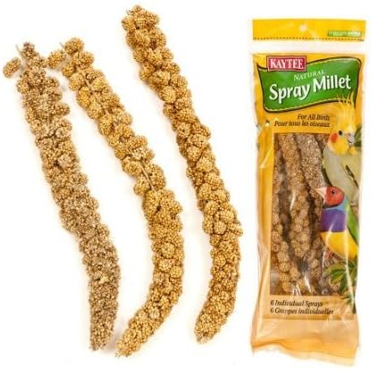 Kaytee Spray Millet Treat for Pet Birds, 5 Pound