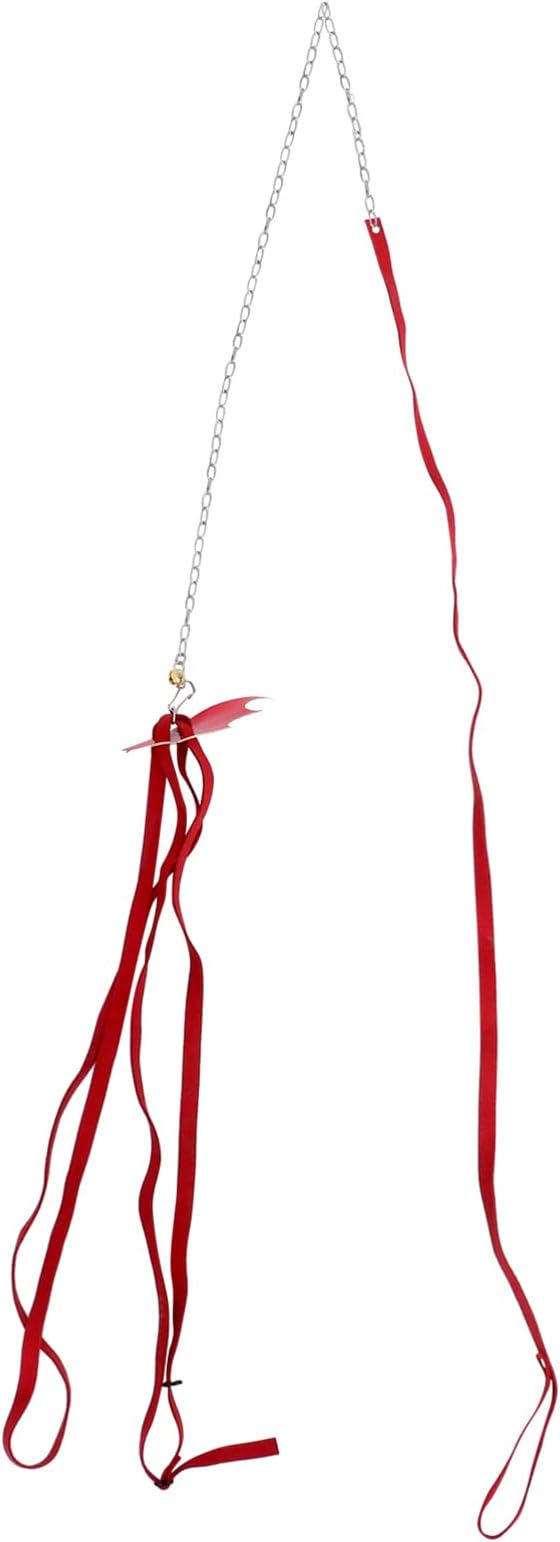 Turtle Wing Design Harness Strap Chest Collar Adjustable Rope Walking Control Rope Great for Turtle Reptile (Red L)