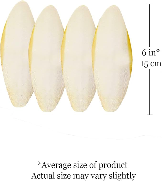SunGrow 4 Pack Cuttlefish Bones for Cockatiels, Turtles, Shrimp, Dog Calcium Supplement, Cuttlebone Cage Holder Included