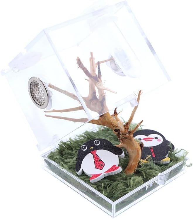 Spider Terrarium,Acrylic Reptile Terrarium,Jumping Spider Enclosure with Dropper Tongs,Reptile Breeding Habitat Box