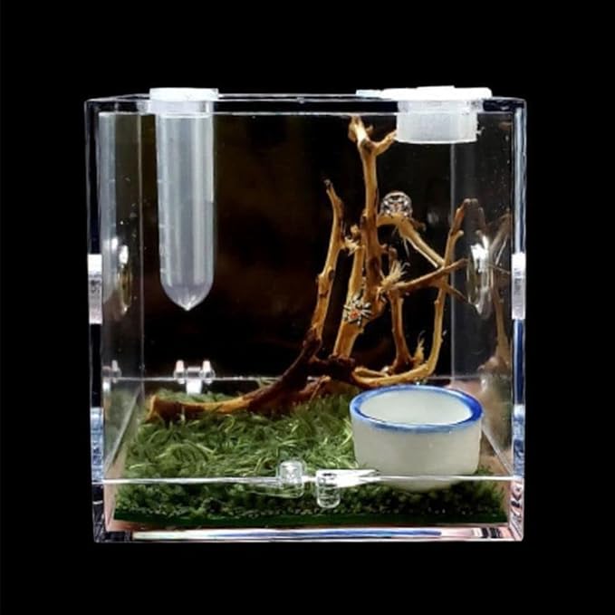 Insect Box Professional Spider Habitat Pet Supplies with Humidifier Spider Feeder Breeding Cage(Transparent)
