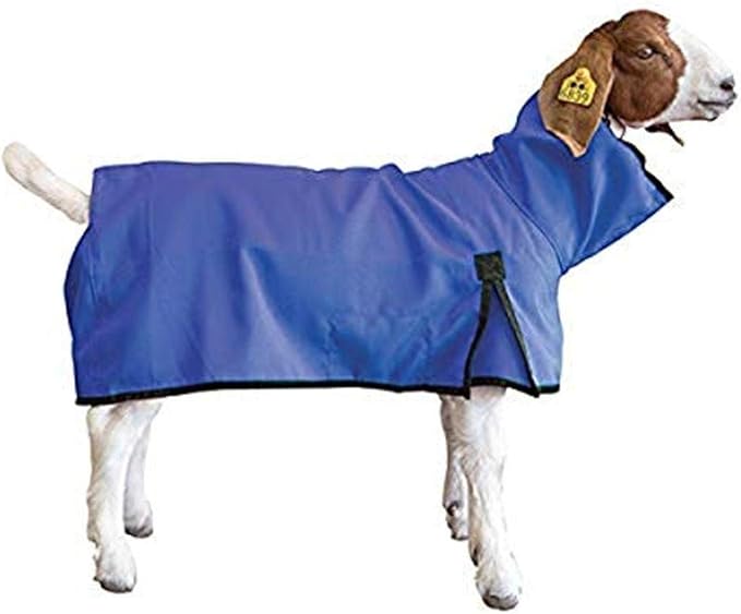 Weaver Livestock Goat Blanket