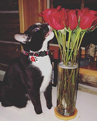 BoomBone Valentines Day Cat Collar Breakaway with Bell and Lip Charm,Puppy Collars for Small Dogs