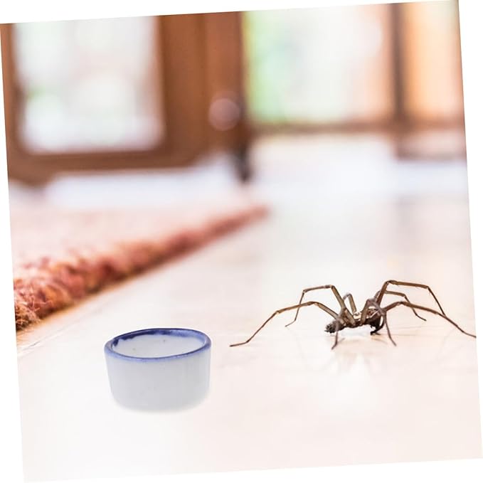 24pcs Basin Ceramic Terrarium Dish Pet Spider Bowl Food Container Spiders Drinking Container Reptile Dish Mini Food Spider Water Bowl Leopard Gecko Ceramics Water Dispenser to Feed