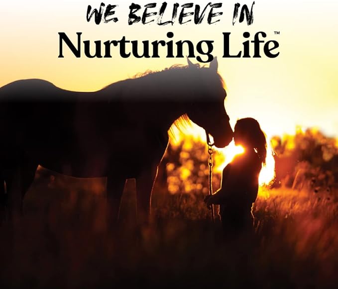 Manna Pro Bite-Size Butterscotch Flavored Nuggets, 4 lb