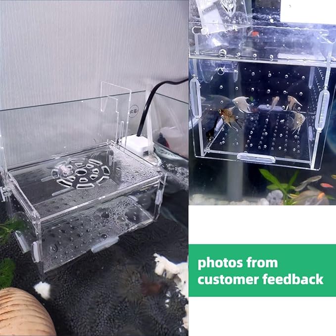 Acrylic Fish breeding Box, Fish Separation Breeder Box Acrylic Fish Tank Breeding Isolation Box for Aquarium Hatchery Incubator with Suction Cups for Baby Fishes Shrimp Clownfish (6*4*4inch)