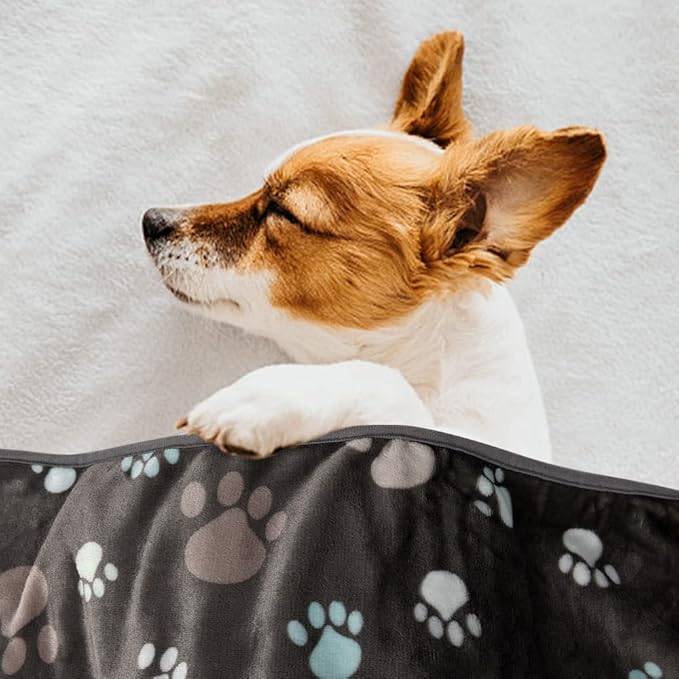 1 Pack 3 Blankets for Dogs Super Soft Fluffy Premium Fleece Pet Blanket Dogs Blankets for Dogs Flannel Throw for Dog Puppy Cat Paw Blanket,Grey,30x20inch