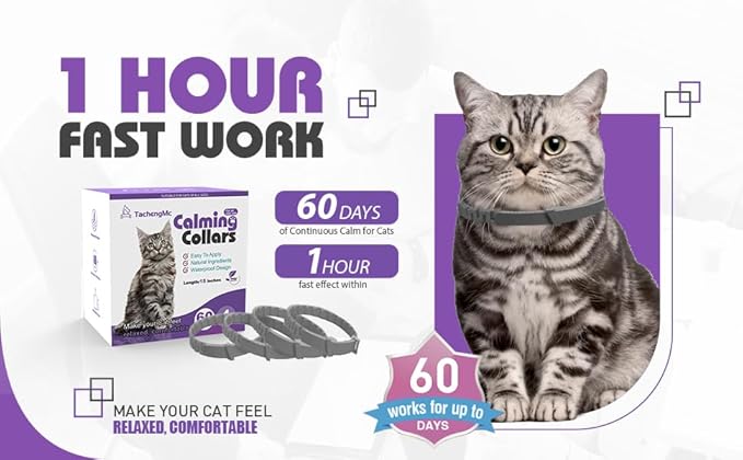4 Pack Calming Collar for Cats, Cat Collars Efficient Relieve Reduce Anxiety Stress,Make Comfortable Relaxed,Pheromones Collar, Cat Calming Collar Kitten Supplies, Lasting 60 Days, Grey