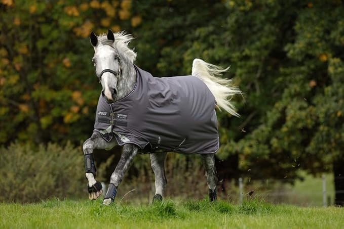 HORSEWARE Ireland Amigo Bravo 12 Original Lightweight Waterproof Breathable Horse Turnout Blanket (0g Fill), Excal/Plum/Silver, 66