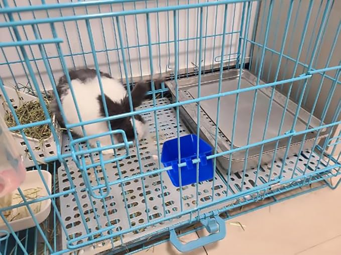 Pack of 20 Cage Cups Birds Feeders Seed Bowl Chicken Feeding Watering Dish Rabbit Water Food Hanging Wire Cages Box 16 oz Coop Cups for Pet Parrot Parakeet Game Fowl Poultry Pigeon