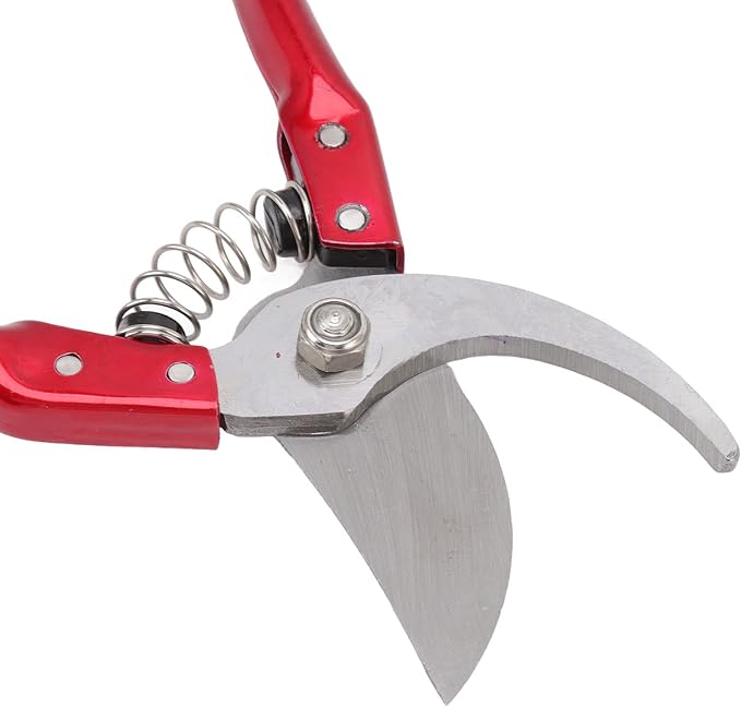 Walfront Goat Hoof Trimmers Nonslip, Sheep Hoof Shears Goat Hoof Trimmers Stainless Steel Animal Nail Scissors Ergonomic Design Cut Multifunctional for Pig Trotter (Black)