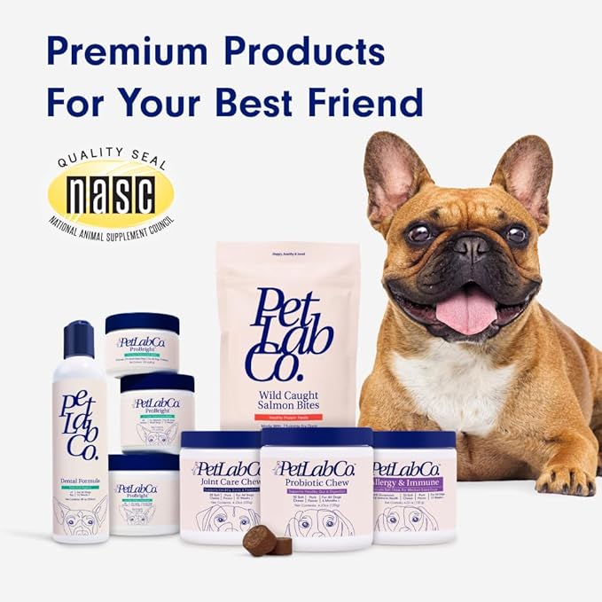 Petlab Co. Joint Care Chews - High Levels of Glucosamine for Dogs, Green Lipped Mussels, and Omega 3 - Dog Hip and Joint Supplement to Actively Support Mobility - Salmon