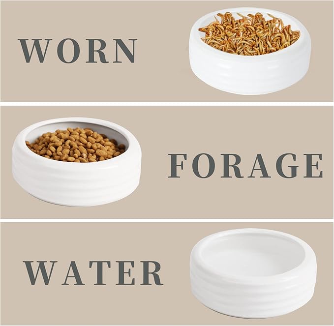 Reptile Food Bowls Ceramic Round Reptile Water Food Dish, Pet Food Bowl for Lizards, Small Snakes, Young Bearded Dragons, Gecko Tortoise Spider (White, Small-2Pack)
