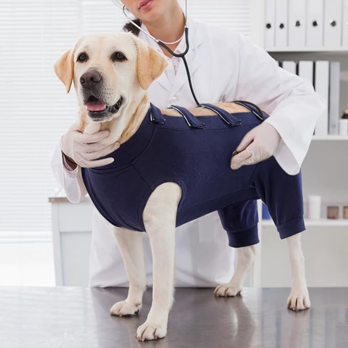IECOii Surgery Suit for Dogs,Dog Neuter Recovery Suit Male Dog Neuter Suit Cone Alternative,Anti Licking Wounds Doggie Onesies for Large Dogs,Dog Surgical Clothes Post-Operative Vest For Spay,XXL-Blue