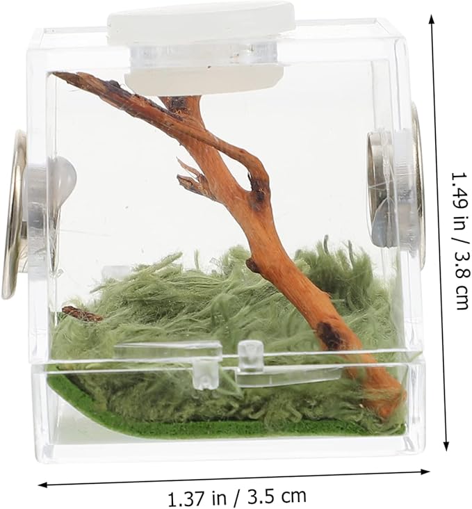 Mipcase 8pcs Box Jumping Spider Breeding Box Tarantula Terrarium Glass Container Glass Case Spider Habitat Holder Spider Habitat Cage Spider Landscape Cage House Spider Cage Pet