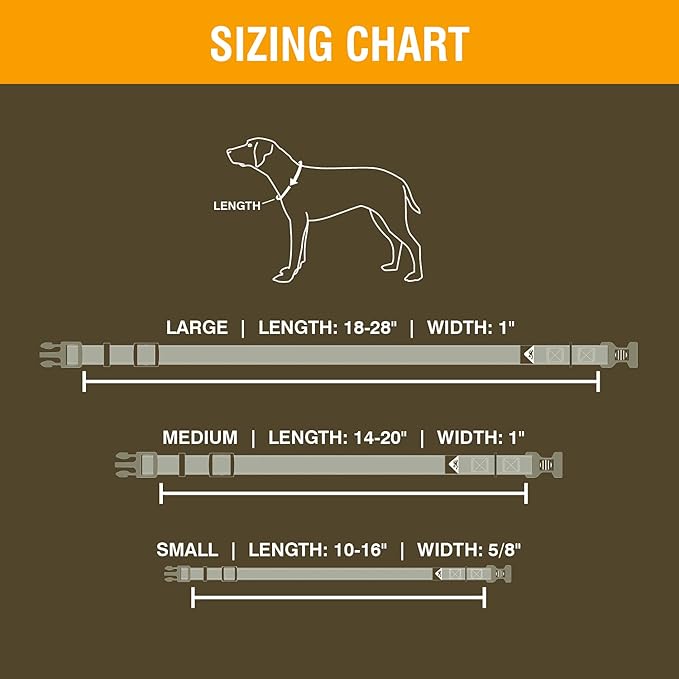 Browning Classic Preformance Webbing Pet Collar, Fully Adjustable, Available in Solid Colors and Camo Patterns, Realtree Xtra Seaglass, Large