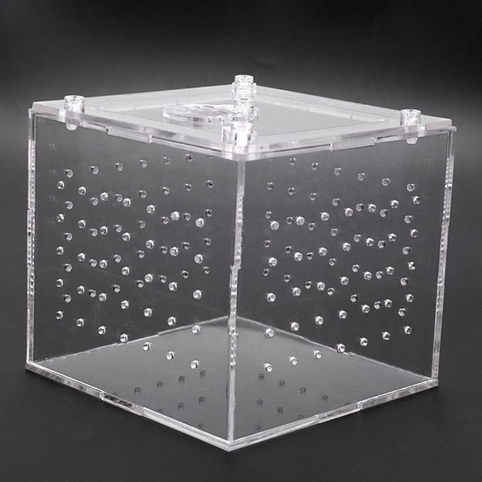 Transparent Reptile Viewing Box, Live Food Storage Acrylic Reptile Breeding Box for Spider Crickets Snails Tarantulas Geckos 3.9x3.9x3.5inch