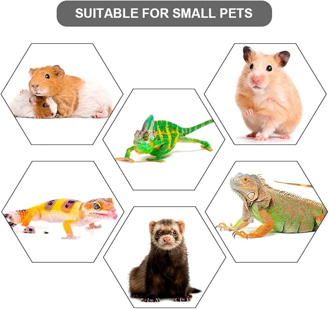 Bearded Dragon Leash, Adjustable Portable Reptile Leash with Cool Wings for Gecko, Bearded Dragon, Chameleon, Iguana, Hamster, Guinea Pig (S+M+L)