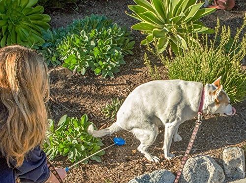 P-Scoop Dog Urine Collector - Reusable and Telescopic Dog Urine Catcher extends to 29"