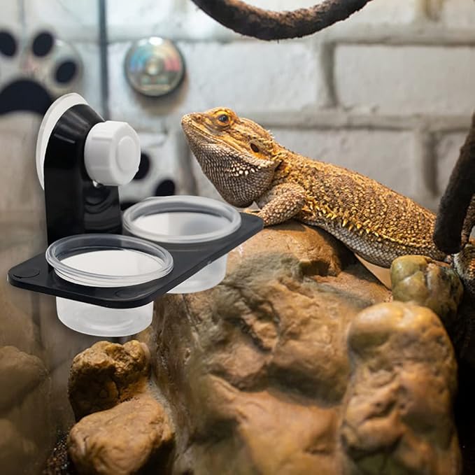 Reptile Feeding Cups Water Bowl Double Crested Gecko Feeding Ledge with 20 Pcs 0.5oz Bowls,Detachable Suction Cup Reptile Feeding Dish Feeder for Lizard Tortoise Reptile Spider Gecko (Double)