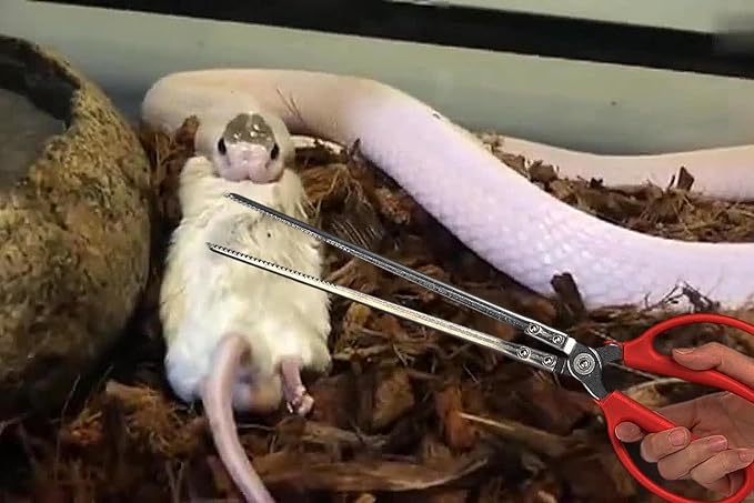 Snake Feeding Tongs, Ball Python Tank Accessories Supplies fit Corn Snakes