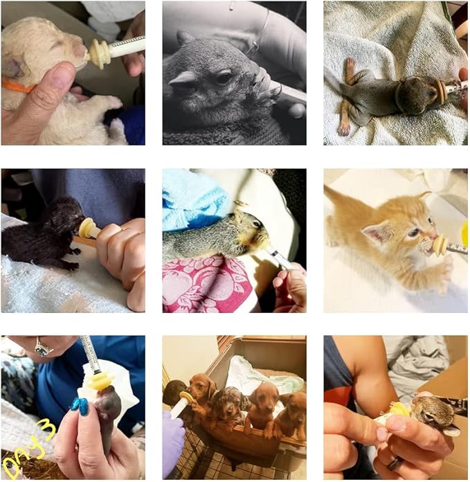 Pet Feeding Bottle and Replacement Mini Nipples with Syringes