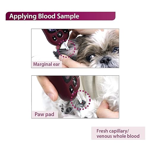 Dogs/Cats Diabetes Monitoring Starter KIT (Auto-Coding) - 1 Pet Blood Glucose Meter, 10 Test Strips, 1 Lancing Device, 10 Lancets, 1 Control Solution – Calibrated for Dogs and Cats