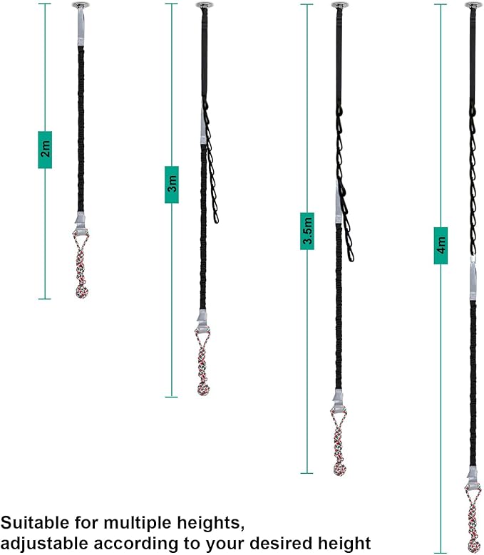 Outdoor Bungee Tug Toy,Dog Toy Hanging, Interactive Exercise Play Cord & Tether with Chew Rope Toy for Large Breed Puppies & Small Dog adult (Black)