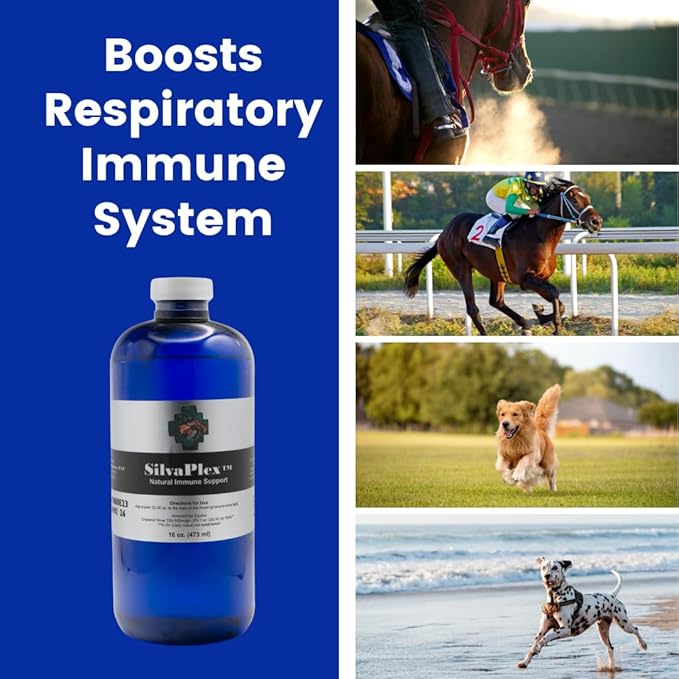 Natural Immune Support Solution for Dogs, Cats, Horses, Small Animals, 100 PPM Chelated Silver 16 oz