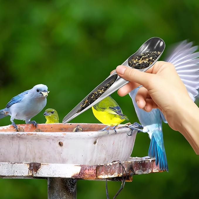 Stainless Steel Bird Feeder Large Size Water and Food Dispenser for Birds Bird Cage Accessories Parrot Feeding Spoon and Food Shovel Watering Supplies Bird Dining Utensils Spoon