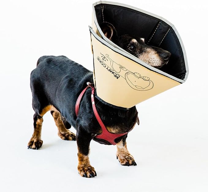 Comfy Cone Pet Cone for Dogs, Cats, Small-Long, Tan - Comfortable Soft Dog Cone Collar Alternative for After Surgery, Wound Care, Spay, Neuter - Dog and Cat Recovery Collar