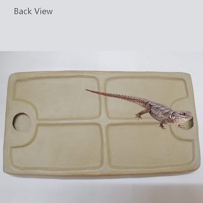 Reptile Feeding Dish Bowl Food and Water Bowl Tortoise Dish Reptile Tank Decor, Heavy Duty Ceramic Feeding Dish, Large Size