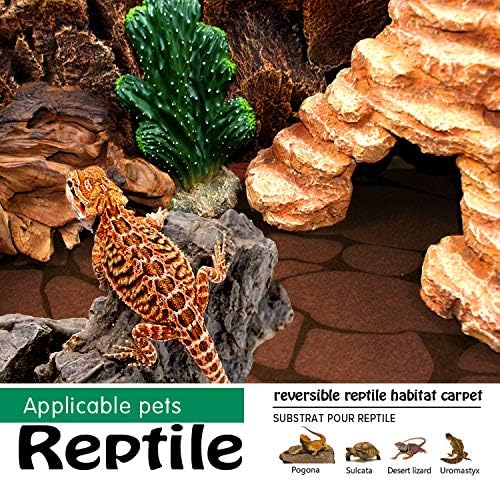 2PCS Reptile Carpet 20 Gallon, Pet Terrarium Liner, Reptiles Cage Mat/Substrate for Snakes, Chameleons, Geckos and Kitchen Use with Tweezers Feeding Tongs Printing Desert