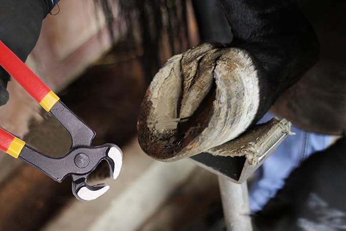 8 inch Farrier Tool Kits (7 Piece) Mini Rasp Hoof File Goat Pig Equine Metal Shears Professional Farriers Hoof Nipper Cutter Handle Knife