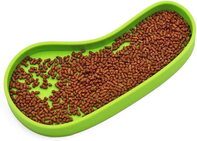 Set of 2 Shallow Reptile Dish, Plastic, for Small Lizards and Tortoises