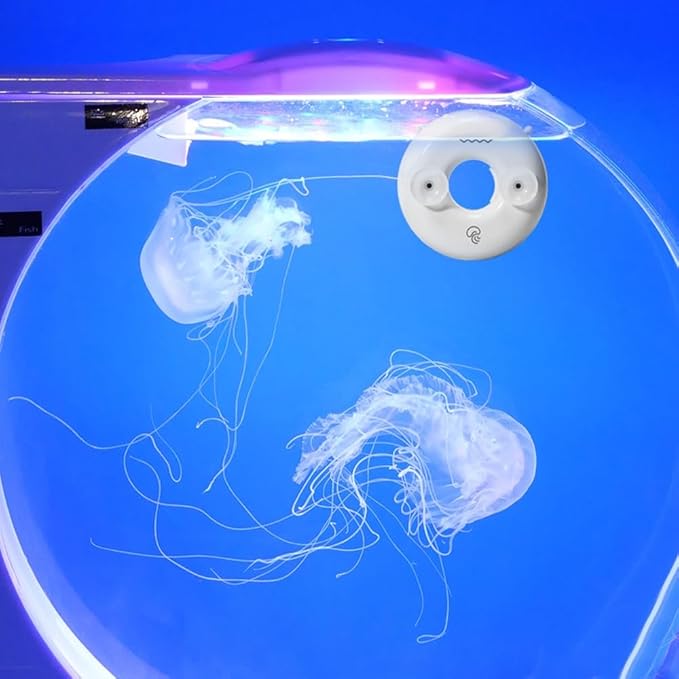 Brine Shrimp Hatchery Box, Mini Brine Shrimp Incubator Automatic Fish Feeder for Saltwater Fish Tank Jellyfish Tank (2.4 * 2.4")