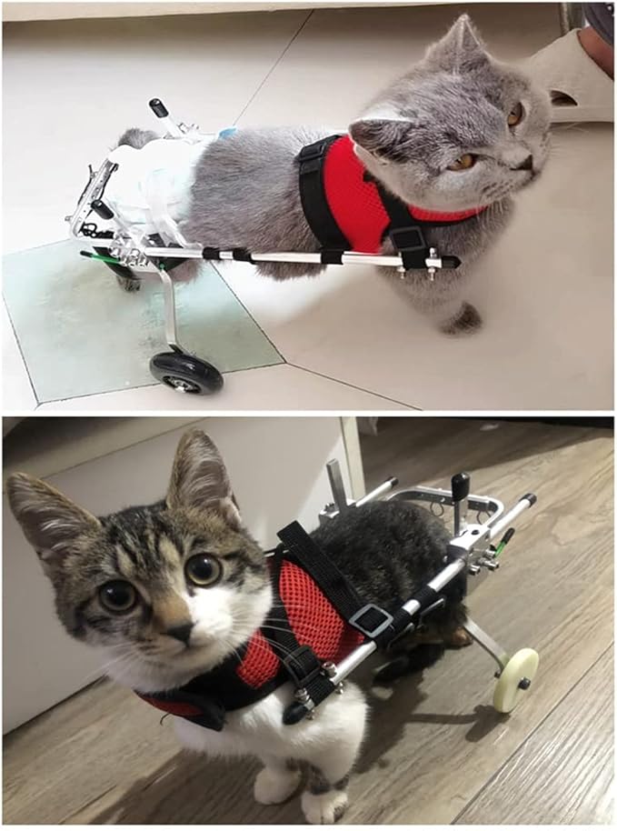 Cat Wheelchair Adjustable 2 Wheels Pet Wheelchair Lightweight Cat Barrier Wheels for Rehabilitation Aid for The Back Legs of Aging, Disabled, Injured, Arthritis, Weak Cats/Pets (S)