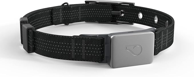 Whistle Switch GPS + Health + Fitness Smart Dog Collar, 24/7 Dog GPS Tracker Plus Dog Health & Fitness Monitor, Sleek Design, Waterproof, 2 Rechargeable Batteries, for Dogs 5lbs and up (Black) XS/S