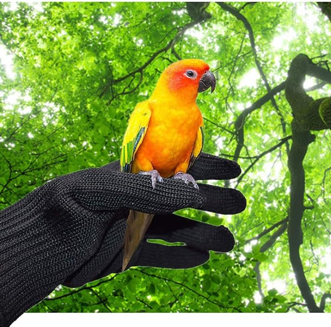 Bird Training Anti-Bite Gloves, Small Animal Handling Gloves, Chewing Protective Gloves for Small Animal Pet Squirrels Hamster Parrotlets Cockatiels Finch Macaw (1 Pair)
