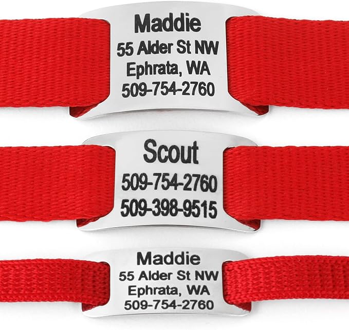 GoTags Slide-On Pet ID Tags, Personalized Dog and Cat Collar Tags, Silent, No Noise Tags Made of Stainless Steel, Custom Engraved