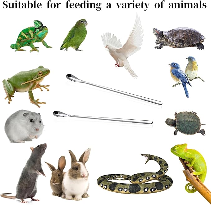 2Pcs Crested Gecko Feeding Spoon, Stainless Steels Reptile Spoon, 7.6 Inch Long Handle Crested Food Feeding Spoon for Gecko Lizard Gargoyle Bearded and Other Small Animals