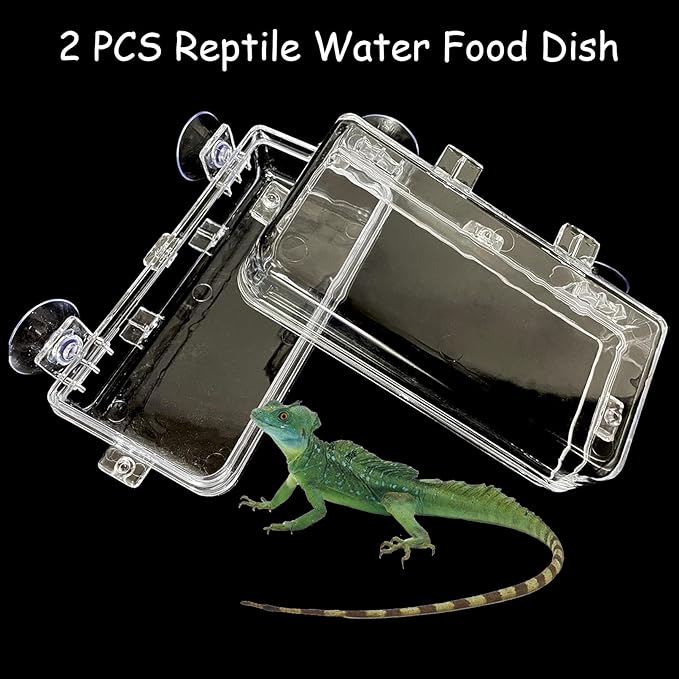 Tfwadmx 2 Pcs Chameleon Bowl, Reptile Feeding Food, Water Dish Gecko Worm Feeder Anti-Escape Chameleon Supplies Accessories for Lizard Bearded Dragon Snakes