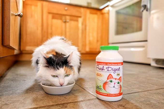 In Clover Fresh Digest Daily Digestive Aid and Immune Support Supplement for Cats, Natural Prebiotic and Enzyme Powder for Healthy Stools, Hairball Control, Stop Litterbox Odor, Works Fast 100g/3.5oz