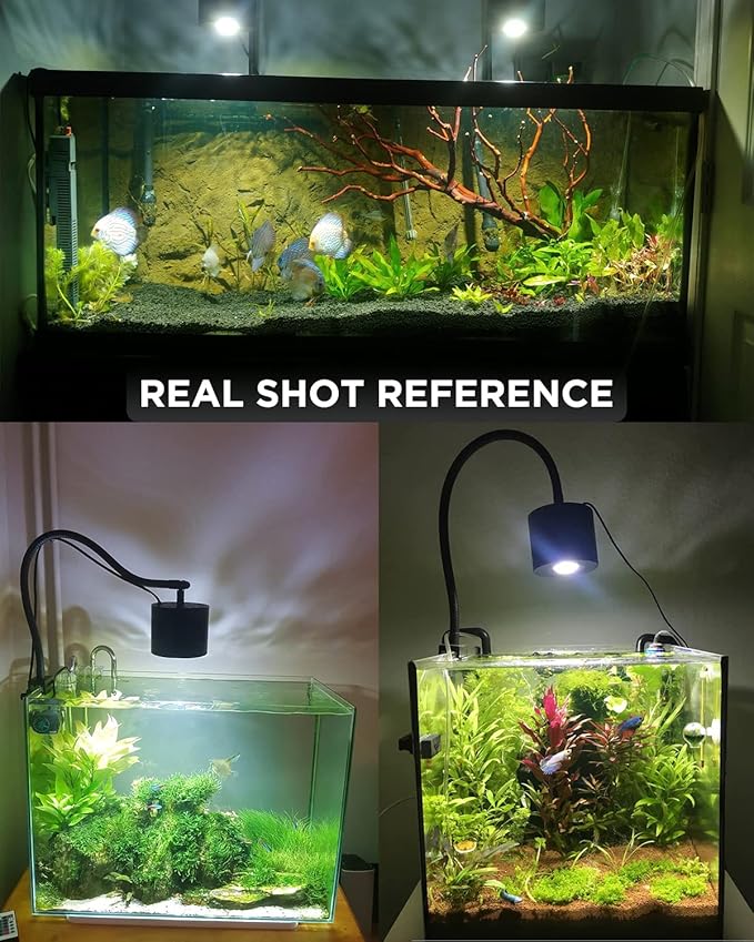 Lominie Aquarium LED Light 10 Gallon Fish Tank Light Timer Clip on Aquarium Light Full Spectrum 80W 6500k for Freshwater Refugium Cube Tank with Gooseneck