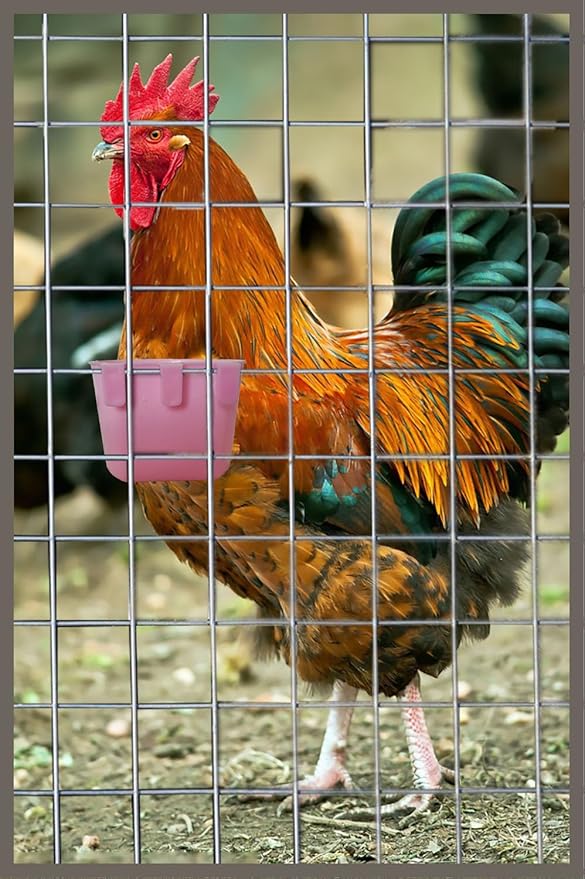 40 Pack Cage Cups Birds Feeders Seed Bowl Chicken Feeding Watering Dish Rabbit Water Food Hanging Wire Cages Box 8oz Coop Cups for Pet Parrot Parakeet Gamefowl Poultry Pigeon (Pink)