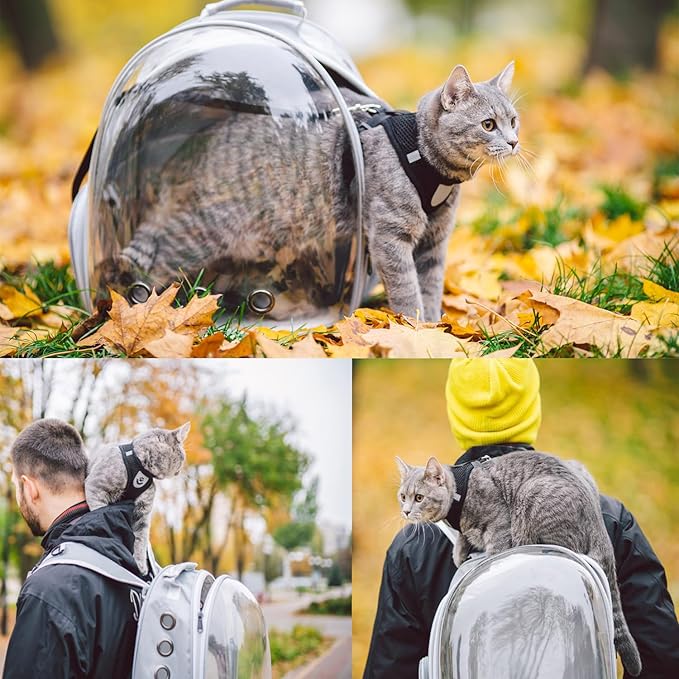 Cat Backpack Carrier, Pet Cat Carrier with Ventilated Design for Carrying Puppy Cats, Pet Carrier Back Pack Bag Space Capsule for Traveling/Hiking/Camping/Outdoors (Grey)