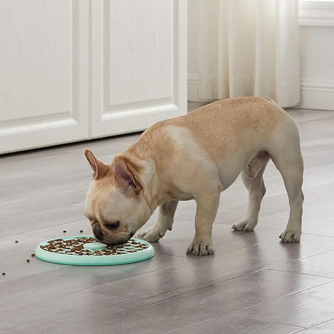 Outward Hound Fun Feeder Slo Tray Slow Feeder Dog Bowl for French Bulldogs and Other Brachycephalic Breeds or Flat-faced Breeds, One Size, Mint Green