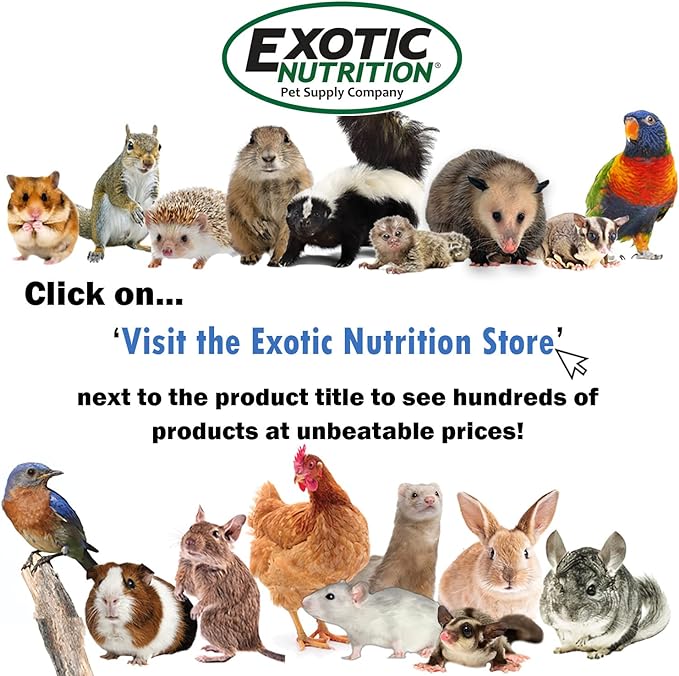Timothy Nibblers - 100% All Natural, High Fiber, Sun Cured Timothy Grass Treat - Rabbits, Guinea Pigs, Chinchillas, Degus, Prairie Dogs, Tortoises, Hamsters, Gerbils, Rats & Small Pets (2 Ounce)